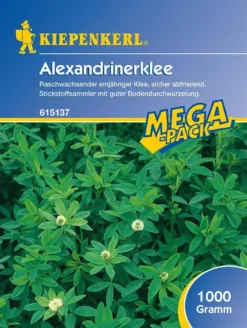 Alexandrinerklee Gründüngung 1kg -Günstiges Blueten Haus Geschäft alexandrinerklee gruenduengung 1kg