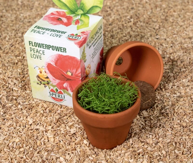 Sperli Anzuchtset Inkl. Tontopf, Substrat & Mohn Blumensamen 1 Sperli Anzuchtset Inkl. Tontopf, Substrat & Mohn Blumensamen