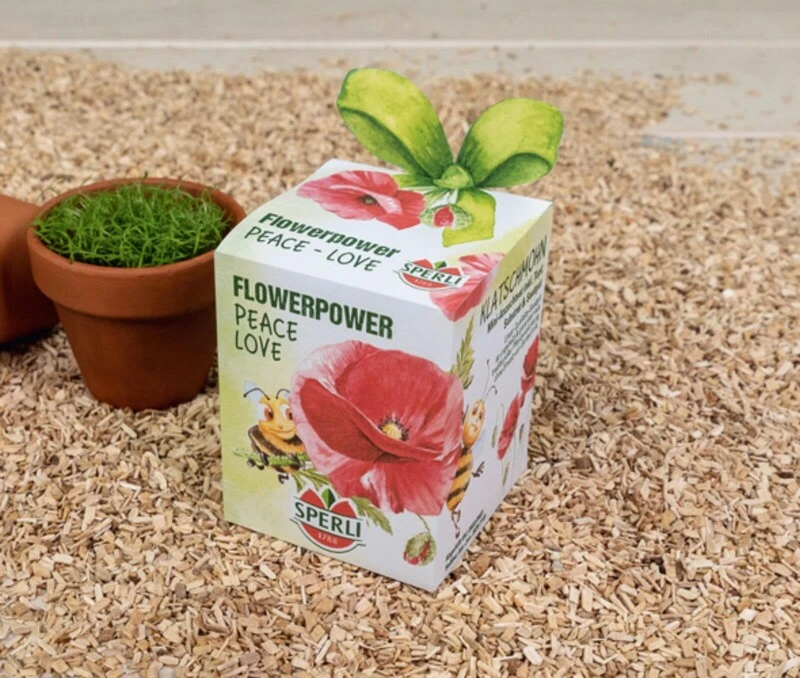 Sperli Anzuchtset Inkl. Tontopf, Substrat & Mohn Blumensamen 2 Sperli Anzuchtset Inkl. Tontopf, Substrat & Mohn Blumensamen – Bild 2