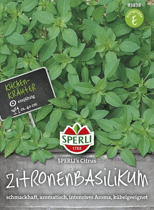Basilikum Zitronen, SPERLING´s Citrus 2 Basilikum Zitronen, SPERLING´s Citrus – Bild 2