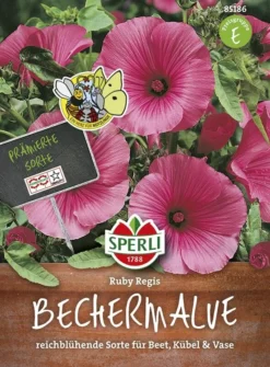 Bechermalve Ruby Regis