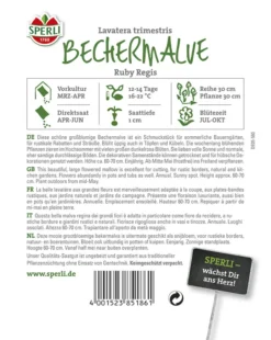 Bechermalve Ruby Regis -Günstiges Blueten Haus Geschäft bechermalve ruby regis2