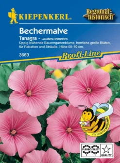 Bechermalve Tanagra Rosa, üppig Blühende Bauerngartenblume, Nektarspender, Schnittblume