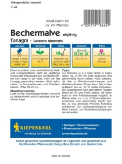 Bechermalve Tanagra Rosa, üppig Blühende Bauerngartenblume, Nektarspender, Schnittblume -Günstiges Blueten Haus Geschäft bechermalve tanagra rosa 12