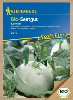 BIO Kohlrabi, Ein Früher Schossfester Und Kälteunempfindlicher Kohlrabi Für Den Anbau Von Frühjahr Bis Herbst, Bio-Saatgut -Günstiges Blueten Haus Geschäft bio kohlrabi 2