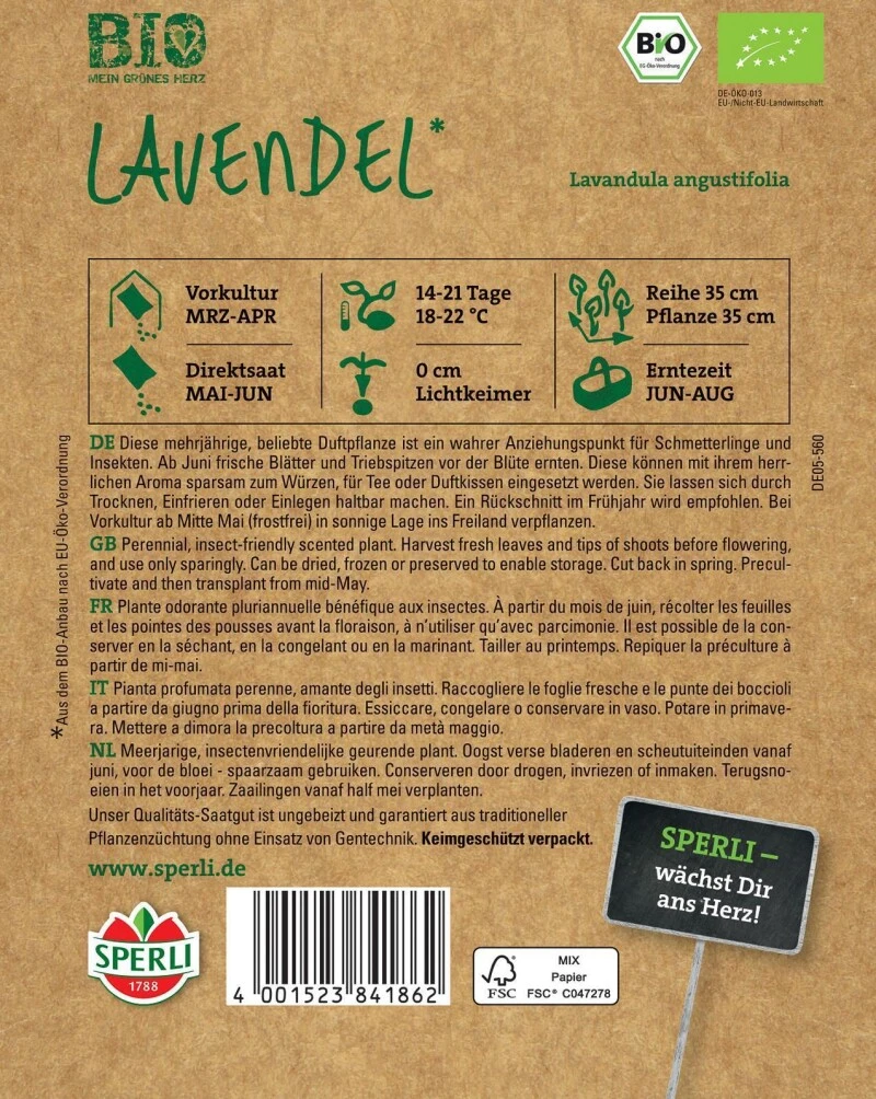 BIO Lavendel, Mehrjährige Beliebte Duftpflanze Ist Ein Wahrer Anziehungspunkt Für Schmetterlinge Und Insekten 3 BIO Lavendel, Mehrjährige Beliebte Duftpflanze Ist Ein Wahrer Anziehungspunkt Für Schmetterlinge Und Insekten – Bild 3