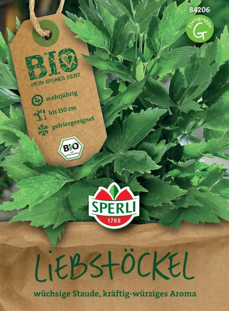 BIO Liebstöckel, Darf In Keinem Kräutergarten Fehlen, Mehrjähriges Gewürzkraut Hat Ein Kräftig-würziges Curryähnliches Aroma 3 BIO Liebstöckel, Darf In Keinem Kräutergarten Fehlen, Mehrjähriges Gewürzkraut Hat Ein Kräftig-würziges Curryähnliches Aroma – Bild 3