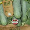 BIO Salatgurke Marketmore