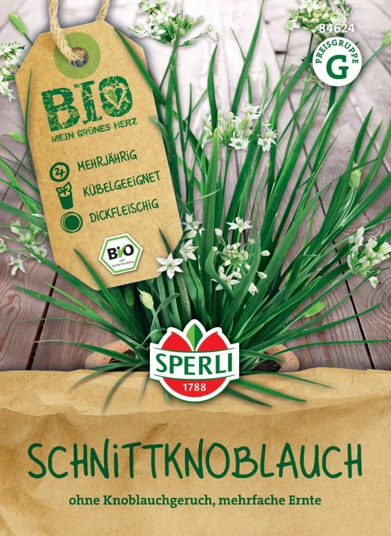 BIO Schnittknoblauch, Mehrjährig, Kübelgeeignet Für Mehrfache Ernte, Bio Saatgut Von Sperli 2 BIO Schnittknoblauch, Mehrjährig, Kübelgeeignet Für Mehrfache Ernte, Bio Saatgut Von Sperli – Bild 2