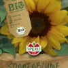 BIO Sonnenblume