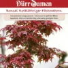 Bonsai-Samen Rotblättriger Fächerahorn