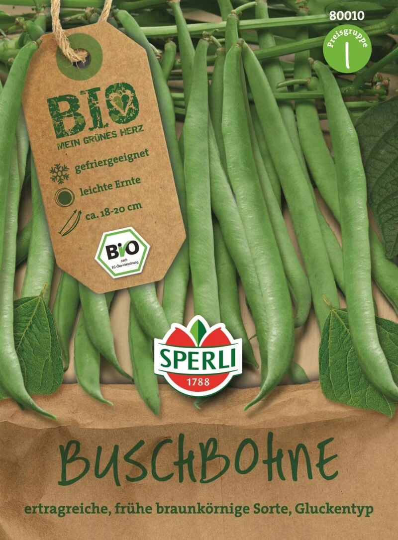 Buschbohne Grün Gluckentyp BIO 1 Buschbohne Grün Gluckentyp BIO