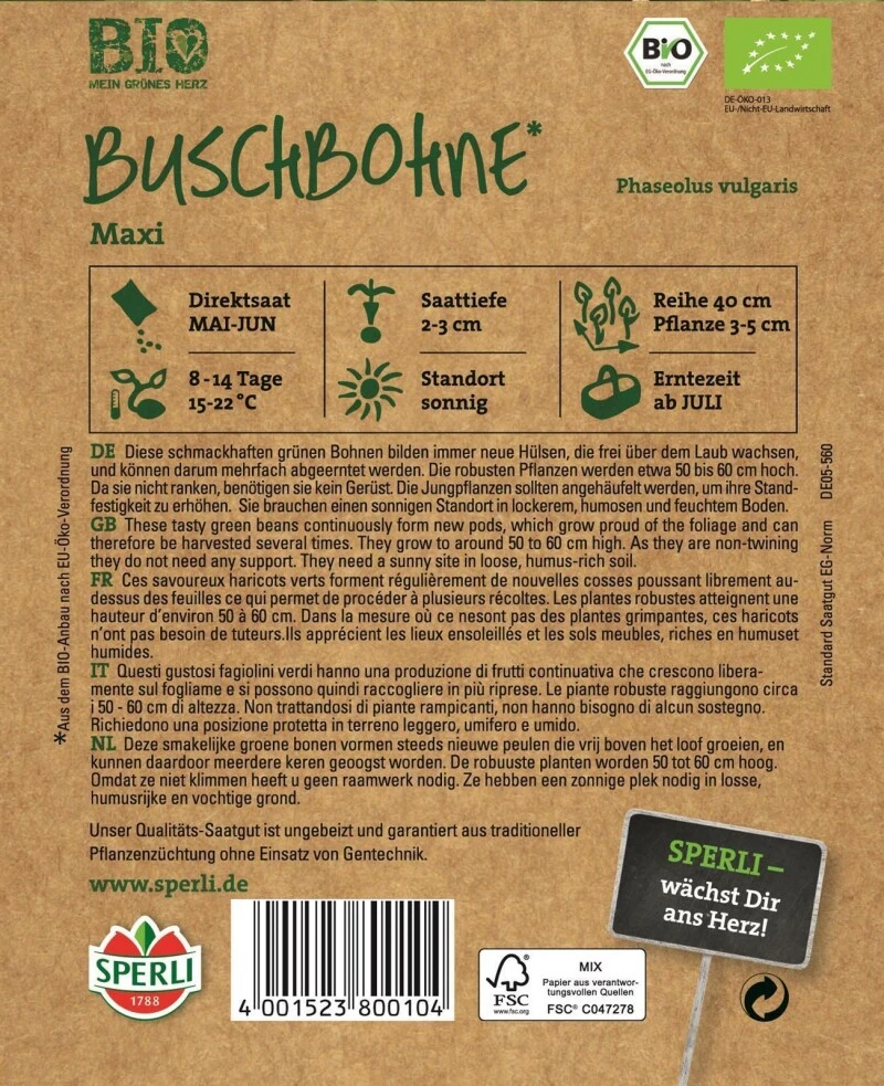 Buschbohne Grün Gluckentyp BIO 2 Buschbohne Grün Gluckentyp BIO – Bild 2