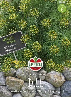 Dill SPERLING`s Elefant,schnellwüchsige Blattreiche Sorte Mit Hohem Krautertrag Und Aromagehalt