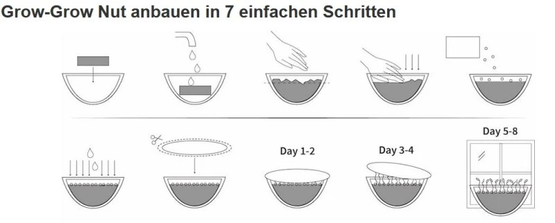 Grow-Grow Nut, Nachfüllpaket "Asian Festival", 3x Bio-Saatgut (Rettich, Pak Choi & Kohlrabi Rot) + 3x Kokoserde-Ziegel 6 Grow-Grow Nut, Nachfüllpaket "Asian Festival", 3x Bio-Saatgut (Rettich, Pak Choi & Kohlrabi Rot) + 3x Kokoserde-Ziegel – Bild 6