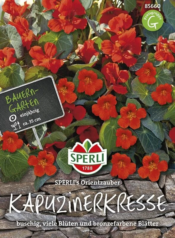 Kapuzinerkresse Orientzauber 2 Kapuzinerkresse Orientzauber – Bild 2