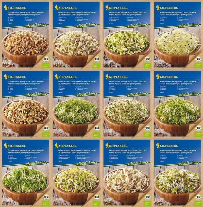 BIO Keimsprossen-Sortiment 12 - Verschiedene Sorten BIO-Sprossen-Samen 1 BIO Keimsprossen-Sortiment 12 - Verschiedene Sorten BIO-Sprossen-Samen