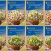 BIO Keimsprossen-Sortiment 8 - Verschiedene Sorten BIO-Sprossen-Samen