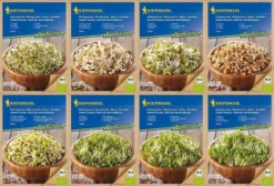 BIO Keimsprossen-Sortiment 8 - Verschiedene Sorten BIO-Sprossen-Samen