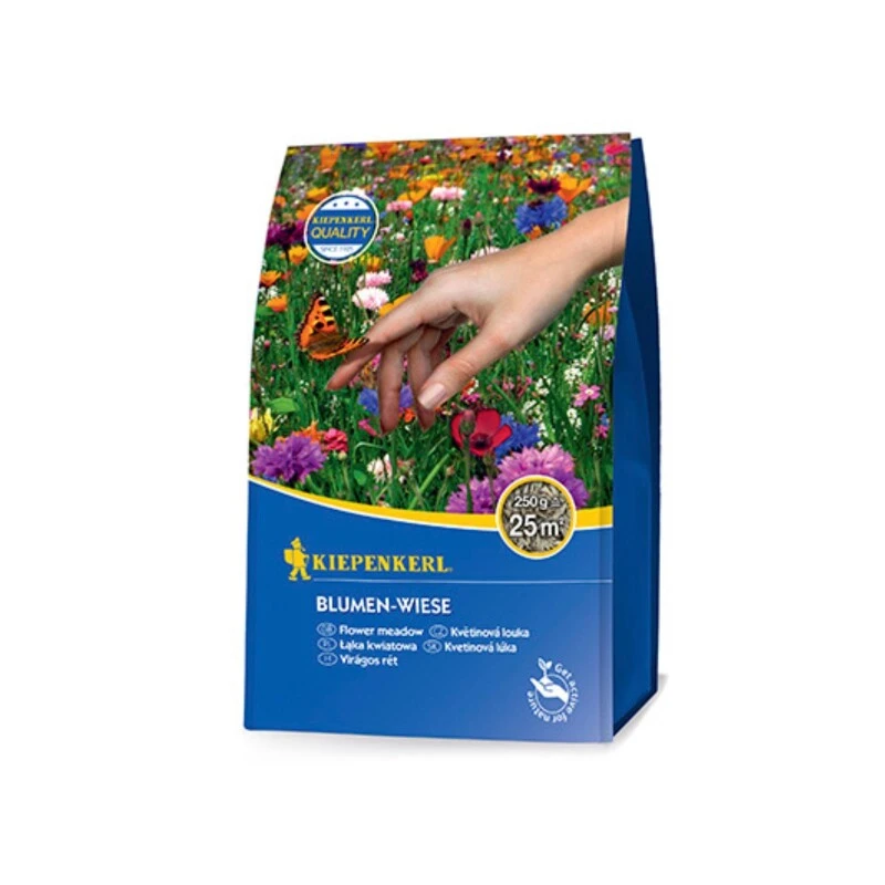 Kiepenkerl Blumen-Wiese Rasenmischung 1 Kiepenkerl Blumen-Wiese Rasenmischung