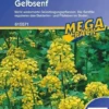 Gelbsenf Gründünger Einzelsaat 80g - 2 Kg Für 20 - 400 M² Fläche Nachhaltige Bodenverbesserung