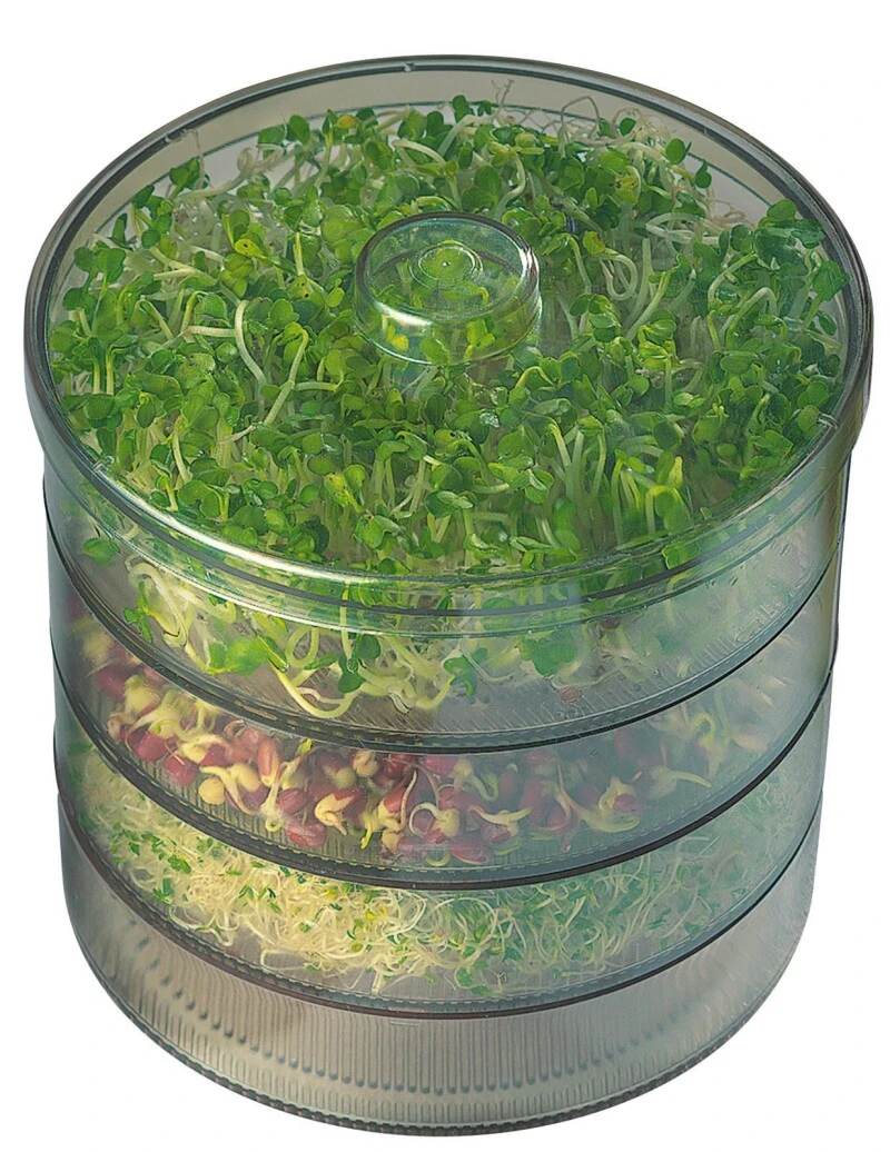 Kiepenkerl Sprossenbox | Set | Ideal Für Die Fensterbank | Optimale Bewässerung 1 Kiepenkerl Sprossenbox | Set | Ideal Für Die Fensterbank | Optimale Bewässerung