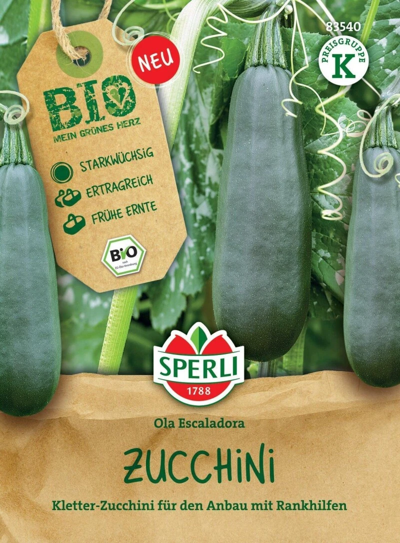 BIO Kletterzucchini Ola Escaladora, Starkwüchsig Und Ertragreich, Für Frühe Ernte 2 BIO Kletterzucchini Ola Escaladora, Starkwüchsig Und Ertragreich, Für Frühe Ernte – Bild 2