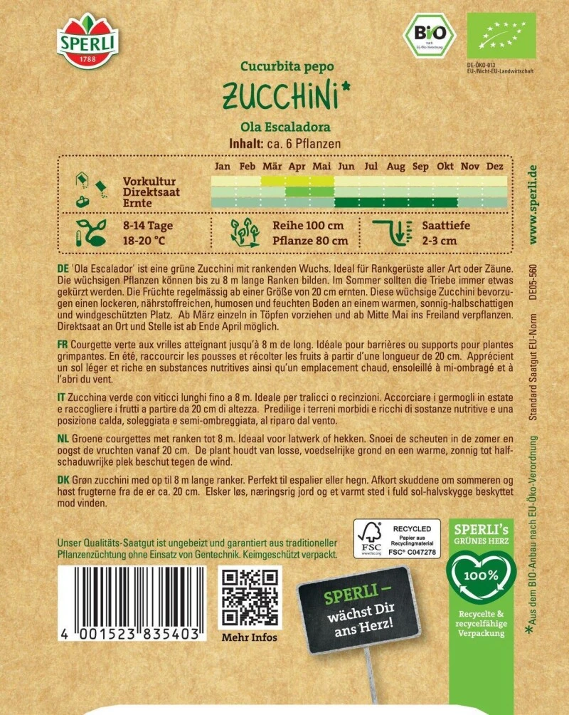 BIO Kletterzucchini Ola Escaladora, Starkwüchsig Und Ertragreich, Für Frühe Ernte 1 BIO Kletterzucchini Ola Escaladora, Starkwüchsig Und Ertragreich, Für Frühe Ernte