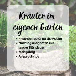 Kräuterspirale Anlegen, Verschiedene Saatgut Sparsets Mehrere Größen -Günstiges Blueten Haus Geschäft kraeuterspirale sparset 52