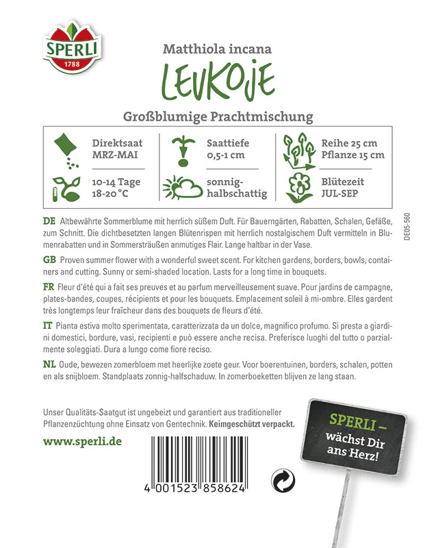 Levkoje Großblumige Mischung 2 Levkoje Großblumige Mischung – Bild 2