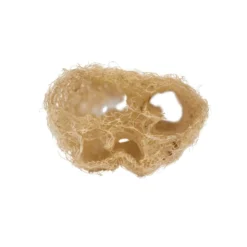 Le Gurque – Luffaschwamm, Zum Hängen -Günstiges Blueten Haus Geschäft luffa schwamm haengen3