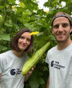 Le Gurque – Luffaschwamm, Zum Hängen -Günstiges Blueten Haus Geschäft luffa schwamm haengen8