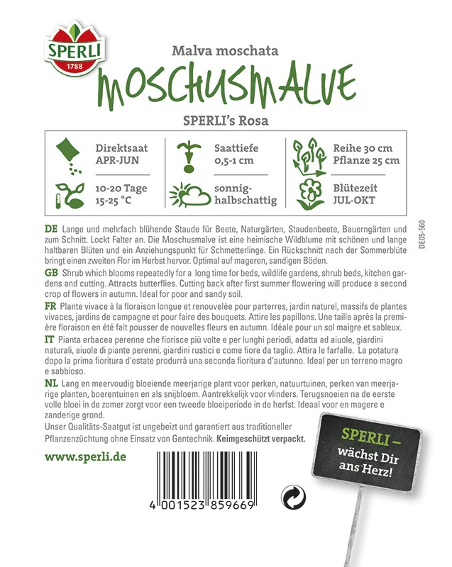 Malven SPERLING`s Rosa (Moschus Malven) 1 Malven SPERLING`s Rosa (Moschus Malven)