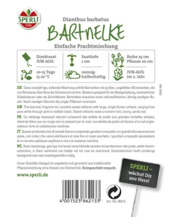 Nelke Prachtmischung (einfache Bartnelke)