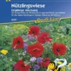 Nützlingswiese Mischung Einjährig, Lock Eine Vielzahl Von Nützlingen An, Pollen- Und Nektarspender