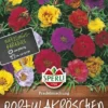 Portulakröschen Prachtmischung