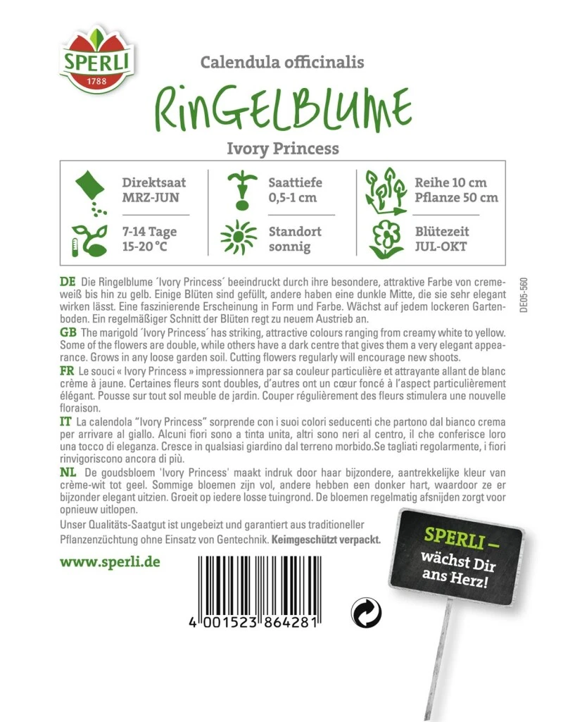 Ringelblume Calendula, Ivory Princess 2 Ringelblume Calendula, Ivory Princess – Bild 2