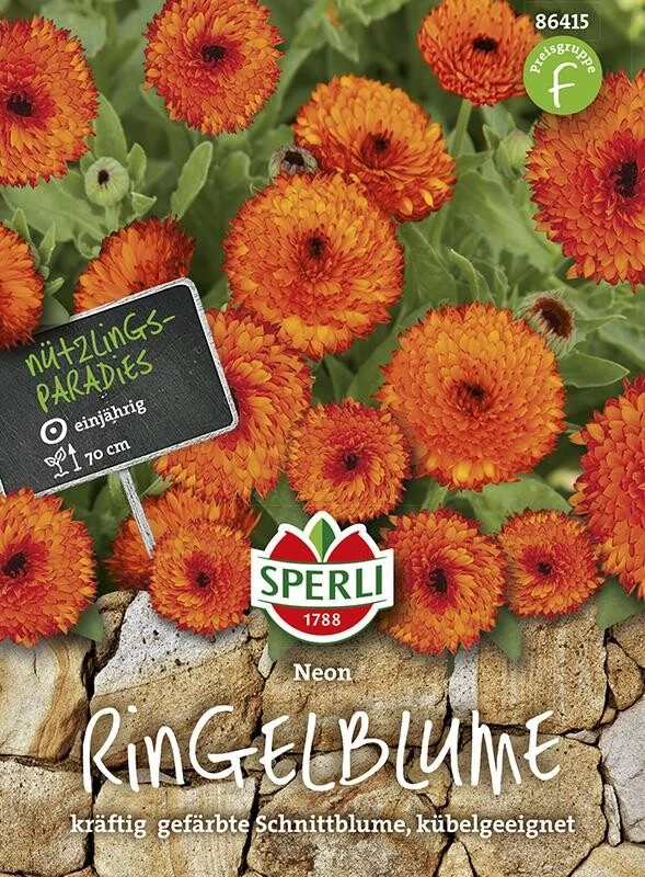 Ringelblume Calendula Officinalis Neon 2 Ringelblume Calendula Officinalis Neon – Bild 2