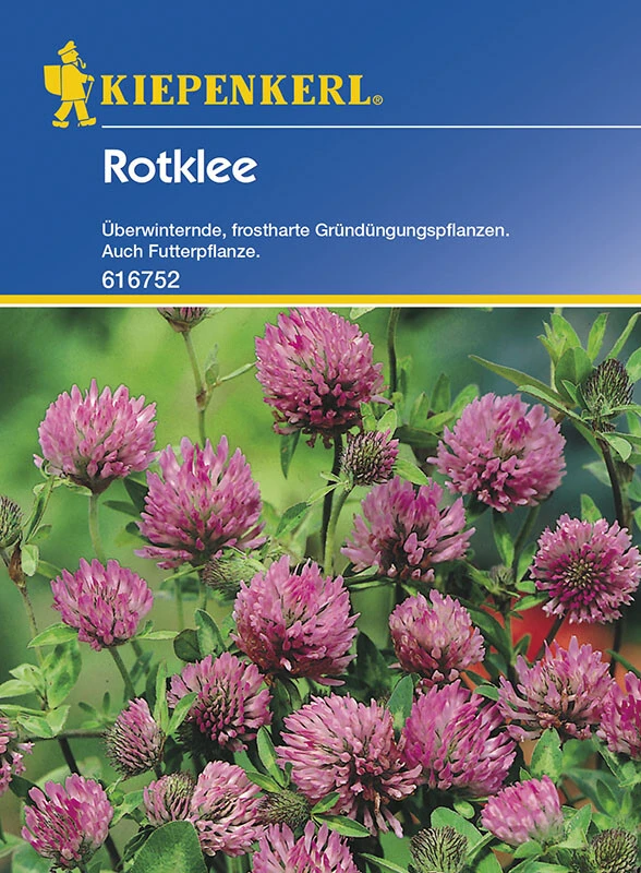 Rotklee Gründünger | Portion 50 G Für 20 M² | Altbewährte Gründüngungspflanze 1 Rotklee Gründünger | Portion 50 G Für 20 M² | Altbewährte Gründüngungspflanze