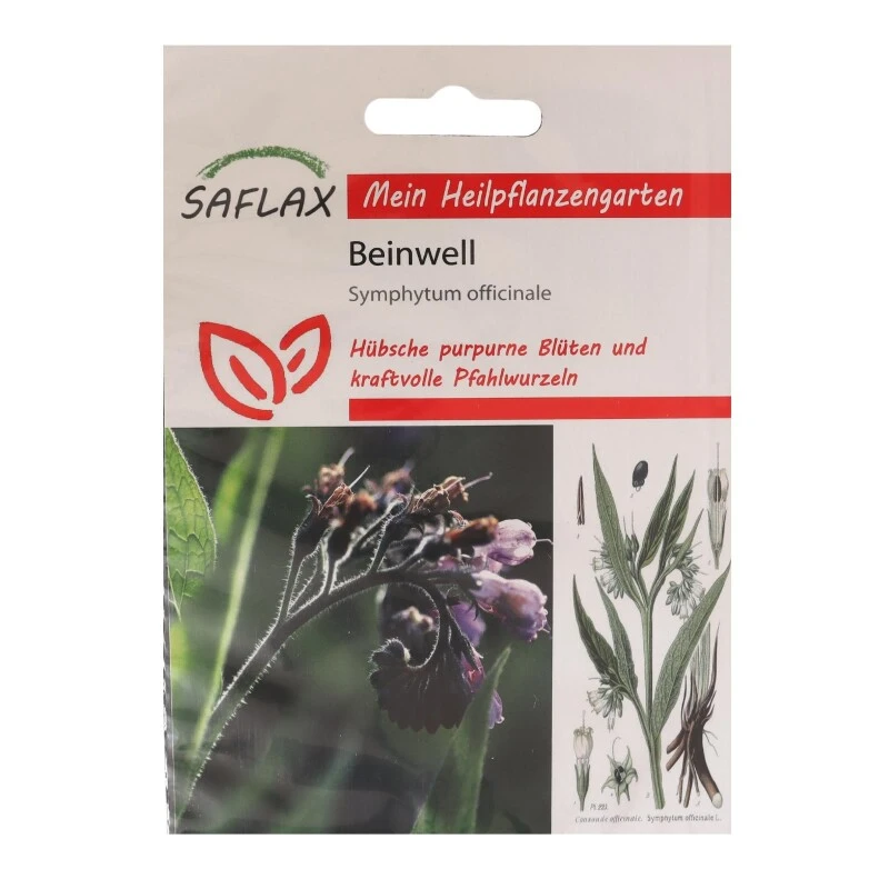 Beinwell - Heilpflanzen Saatgut 15 Samen - Symphytum Officinale 1 Beinwell - Heilpflanzen Saatgut 15 Samen - Symphytum Officinale