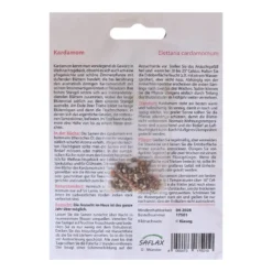 Kardamom Pflegeleichte Zimmerpflanze Mit Dem Duft Von Weihnachten