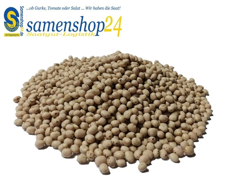 Samenshop24® Düngelupinen "Blaue Lupine", Gründünger & Bodenkur 2,5kg 2 Samenshop24® Düngelupinen "Blaue Lupine", Gründünger & Bodenkur 2,5kg – Bild 2
