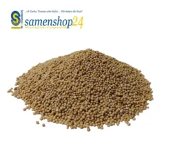 Samenshop24® Gelbsenf, Bodenkur & Gründünger, Premium Saatgut