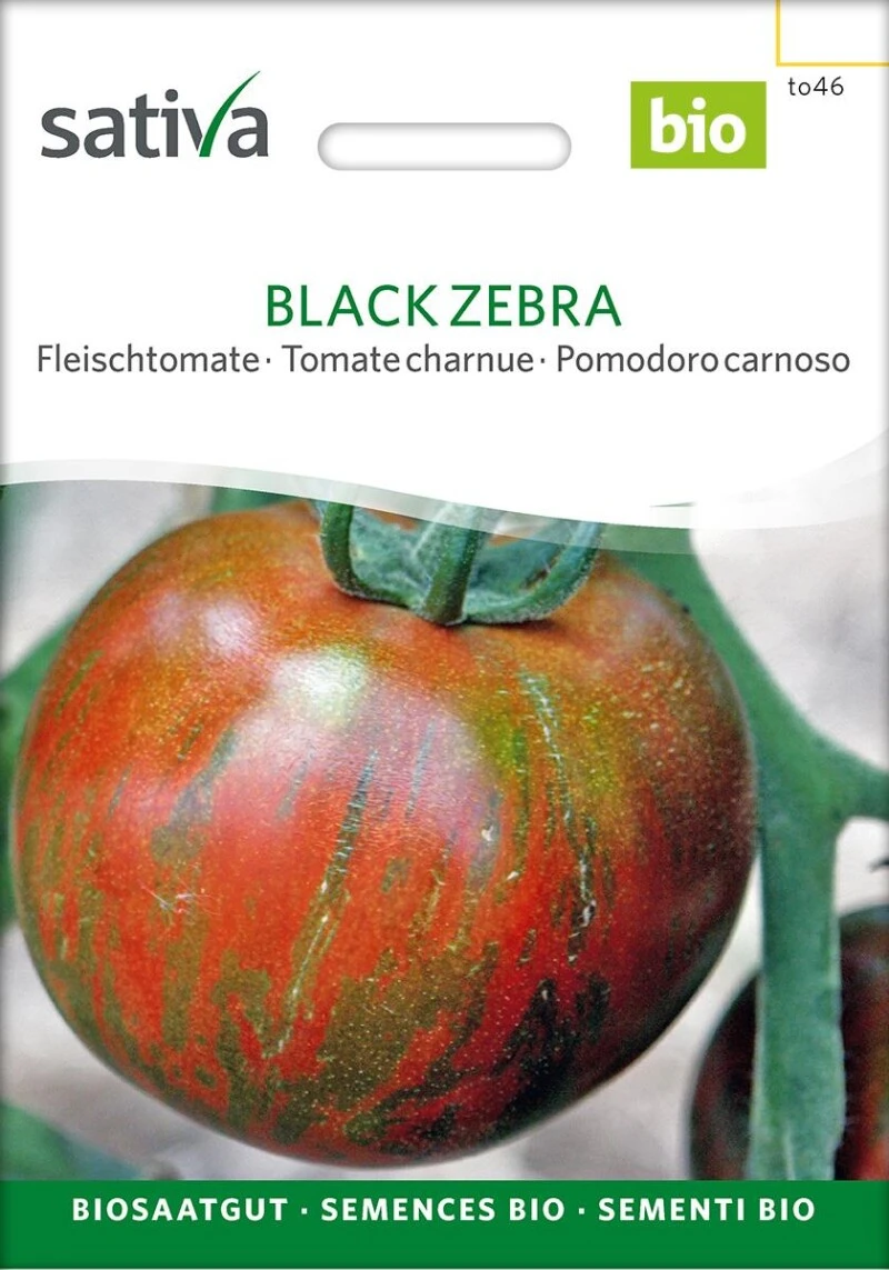 Fleischtomate BLACK ZEBRA Samfenste Bio-Sorte 1 Fleischtomate BLACK ZEBRA Samfenste Bio-Sorte
