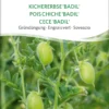 Gründüngung KICHERERBSE 'BADIL'
