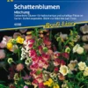 Schattenblumen-Mix, Inhalt: 100gr. Für Bis Zu 100m², Ein- Und Mehrjährige Blumenmischung Für Schattenbereiche, Nektarspender Für Nützlinge