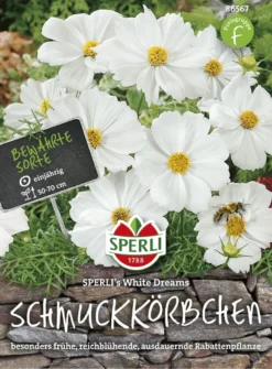 Schmuckkörbchen SPERLI's White Dreams, Besonders Frühe Reichblühende Rabattenpflanze 3 Schmuckkörbchen SPERLI's White Dreams, Besonders Frühe Reichblühende Rabattenpflanze -Günstiges Blueten Haus Geschäft schmuckkoerbchensperlis white dreams