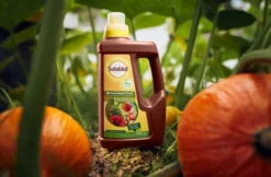 Solabiol Brennnessel Sud, Biologisches Pflanzenstärkungsmittel Zur Kräftigung Und Stärkung Schädlingsanfälliger Pflanzen, 1 Liter -Günstiges Blueten Haus Geschäft solabiol brennnessel sud biologisches pflanzenstaerkungsmittel zur kraeftigung und staerkung schaedlingsanfaelliger pflanzen 1 liter3