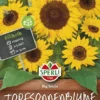 Sonnenblume Big Smile (Topfsonnenblume)