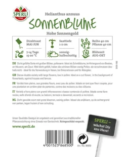 Sonnenblume Hohe Sonnengold